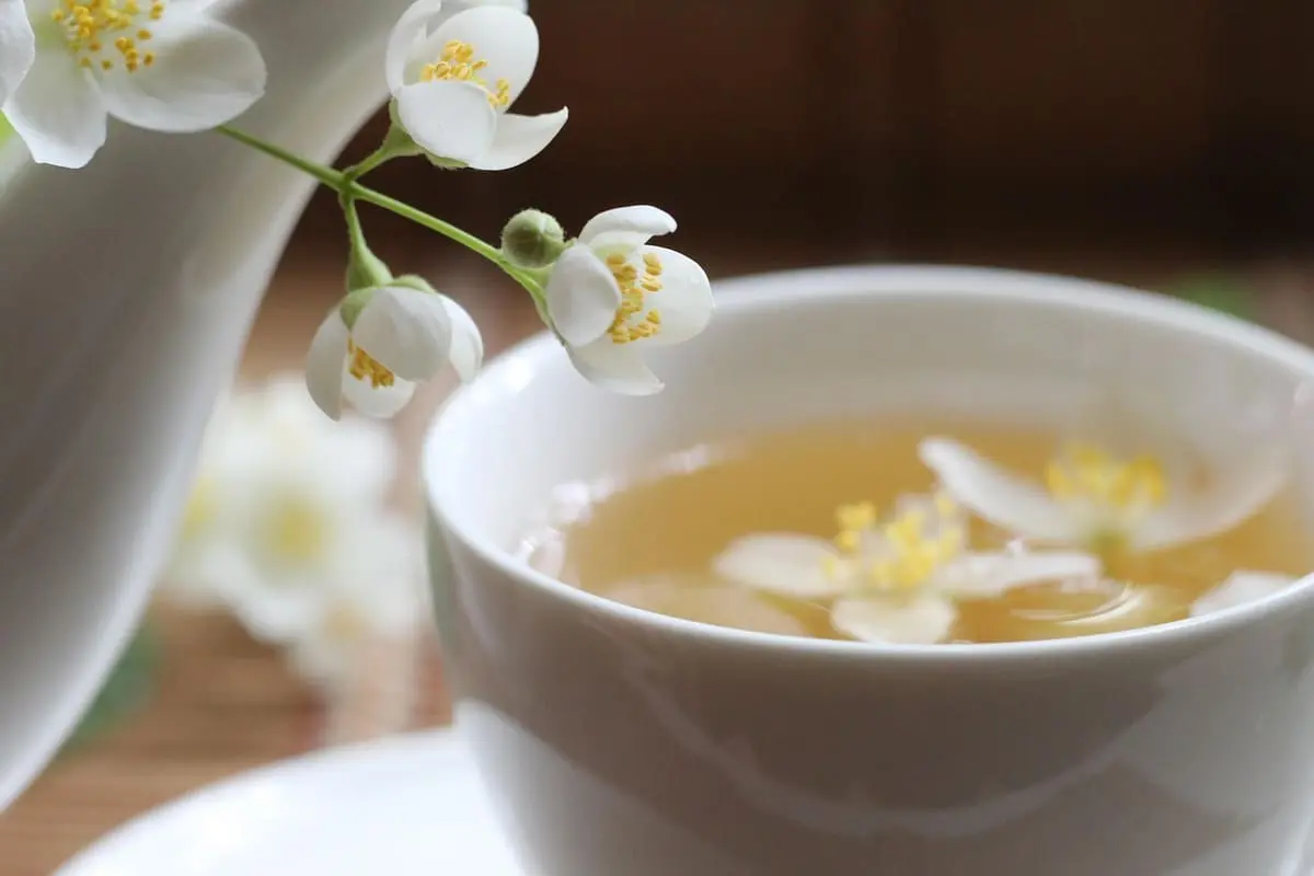Thé jasmin