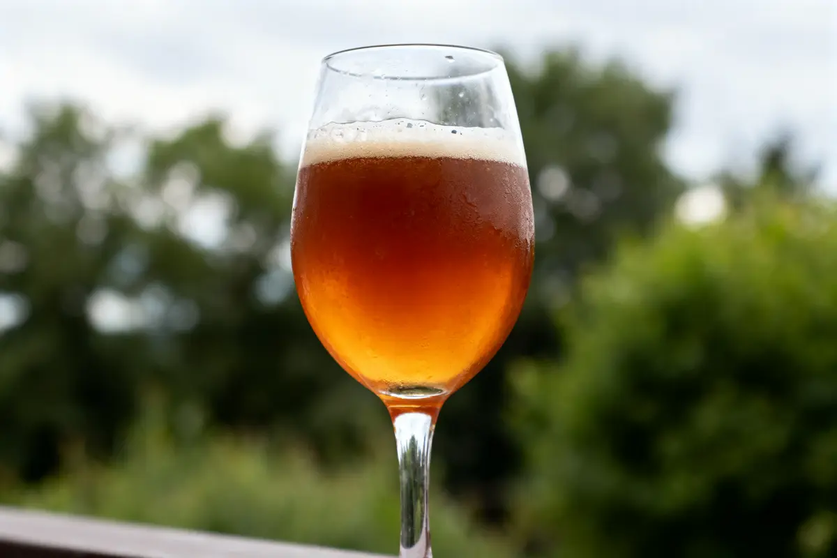 Verre de bière ambrée avec mousse, extérieur flou en arrière-plan de végétation et ciel gris.